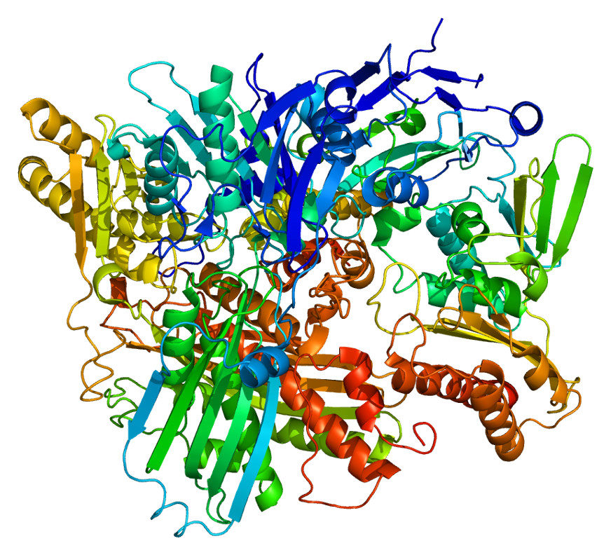 Biocatalysis as a Tool for the Synthetic Chemist